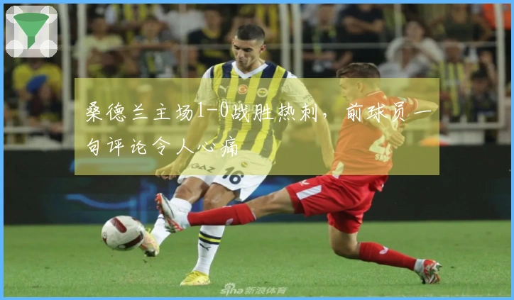 桑德兰主场1-0战胜热刺，前球员一句评论令人心痛