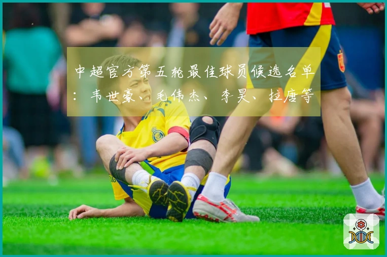 中超官方第五轮最佳球员候选名单：韦世豪、毛伟杰、李昊、拉唐等人入围